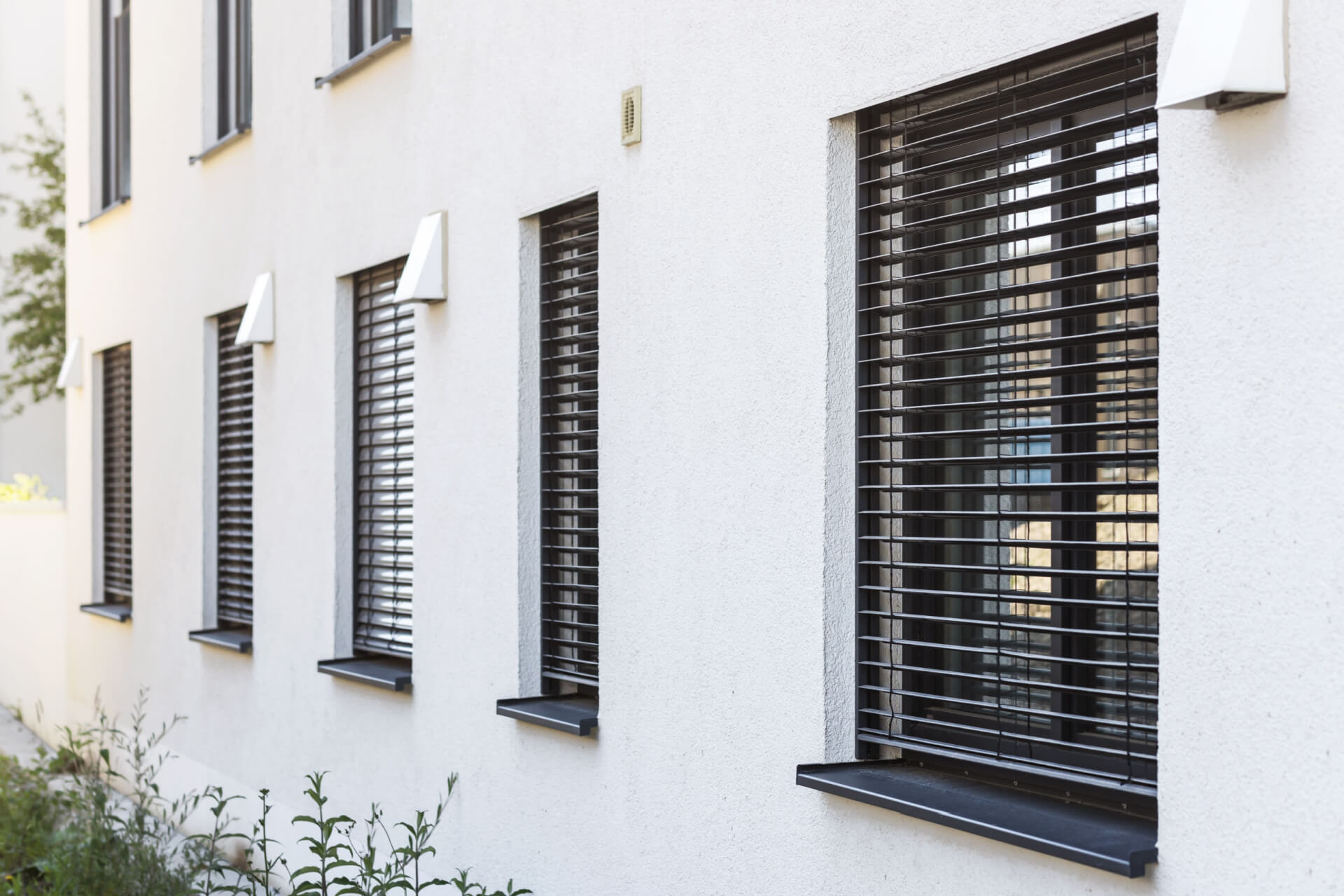 timber Venetian blinds Hervey Bay